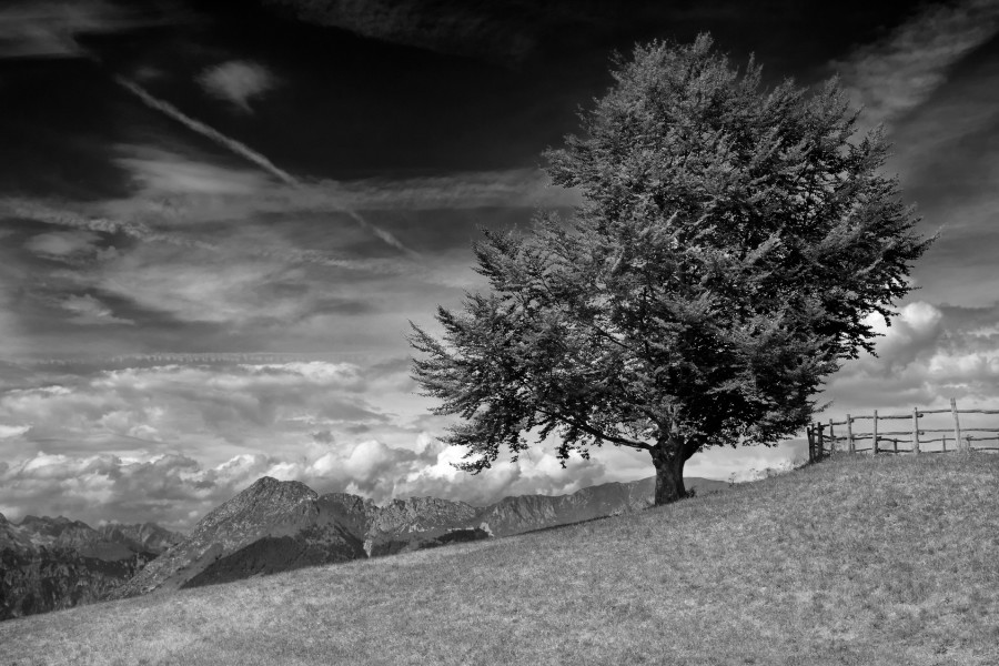 Mountains B&W