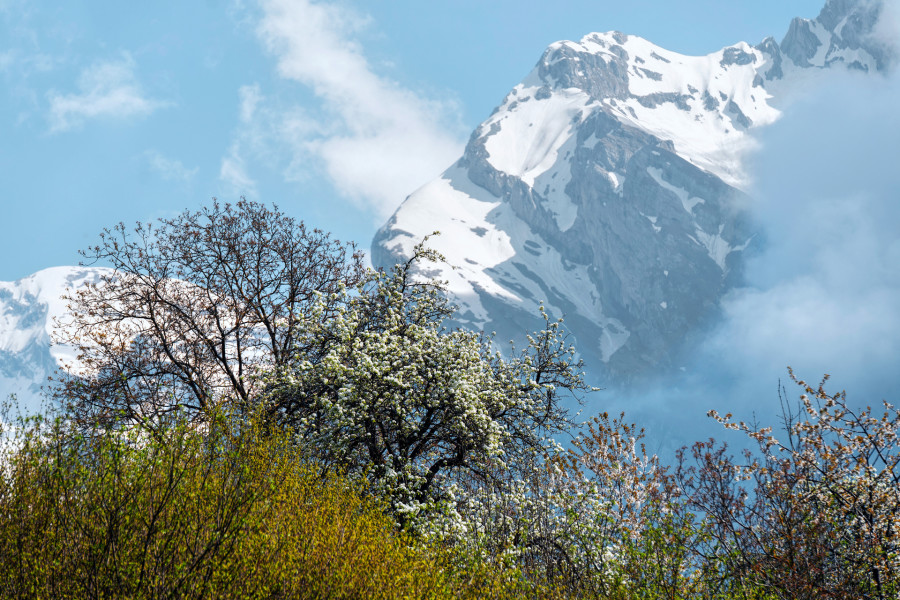 Mountains Color