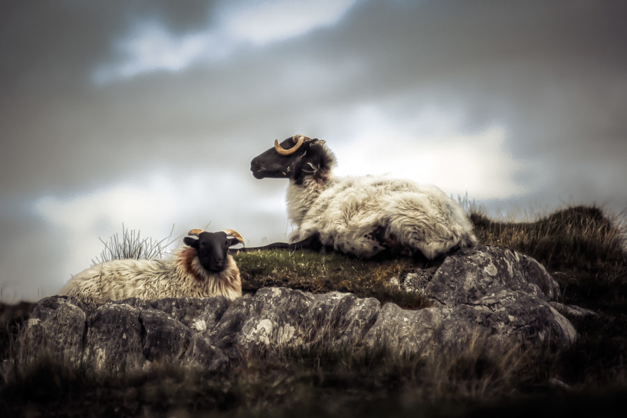 Ireland