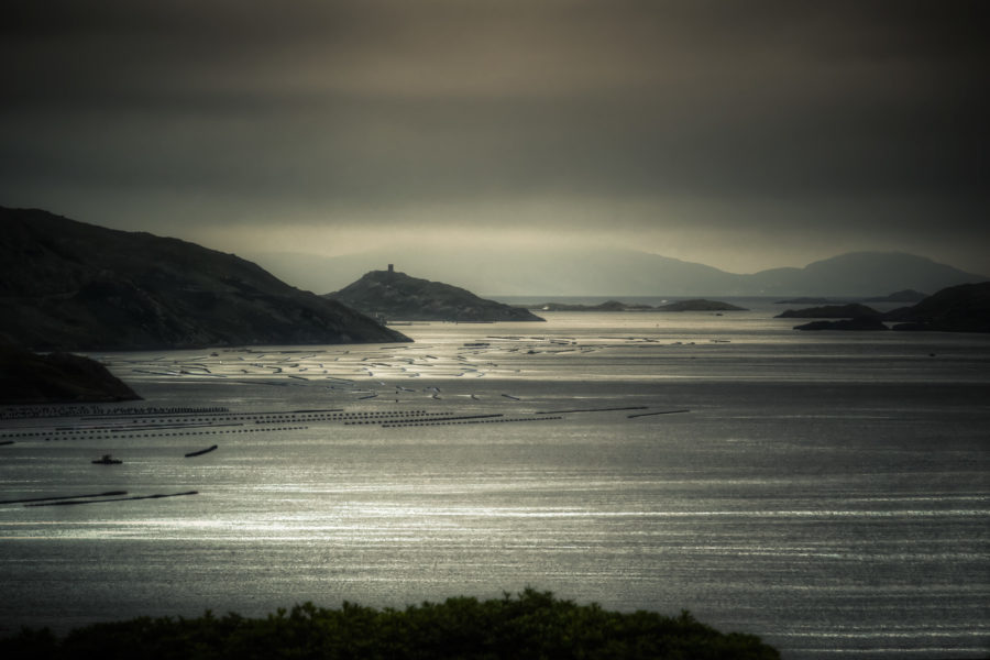 Ireland